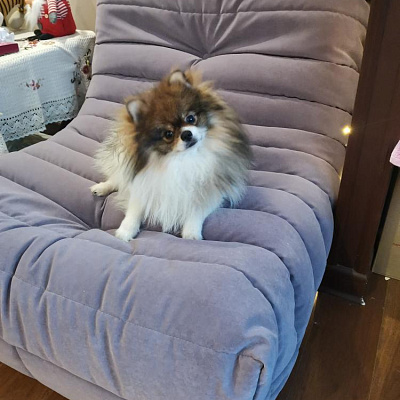 Кресло лаунж в современном стиле. Отзыв о дизайне и комфорте с фото. Рейтинг 5/5.